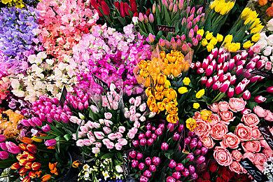 港服PS+三档会员新增试玩游戏：《迪士尼梦幻星谷》